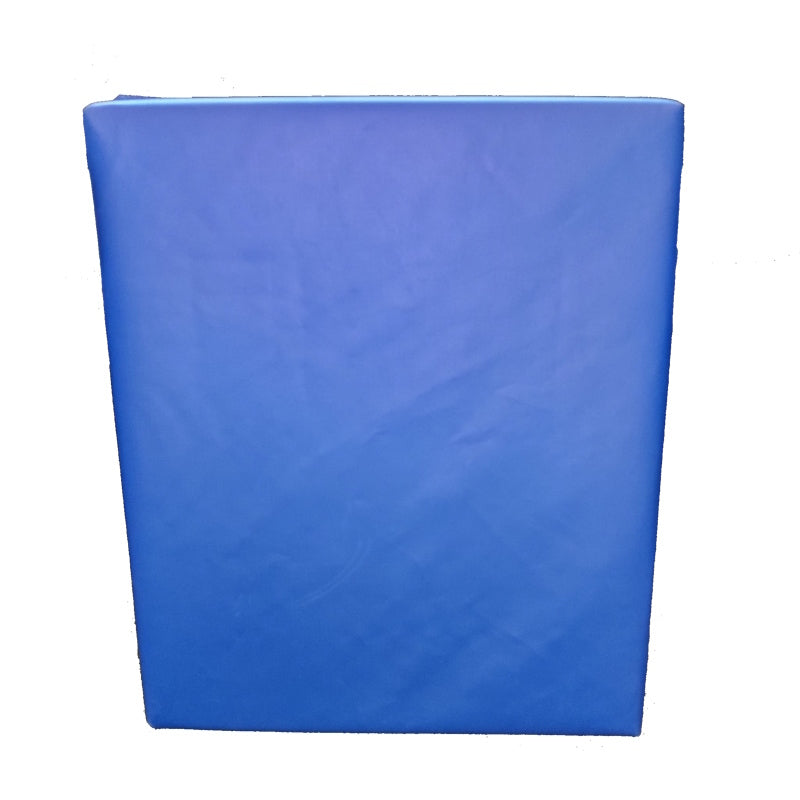 BTW - Shock pad