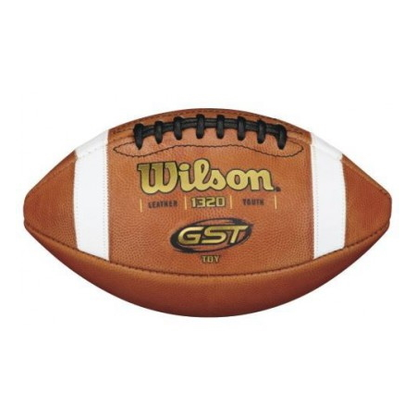 Wilson GST TDY - Leather Ball